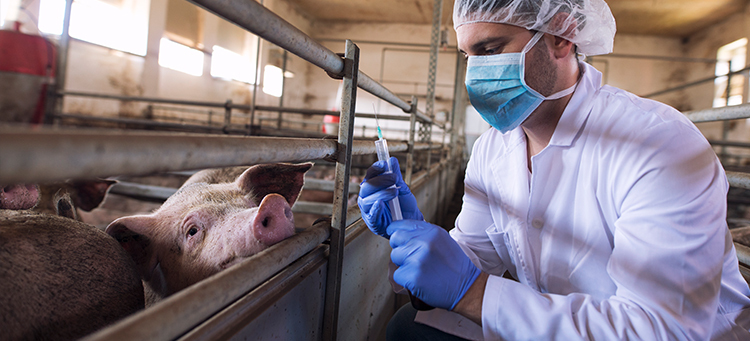 EU Parliament rejects ban on antibiotics | Image Header
