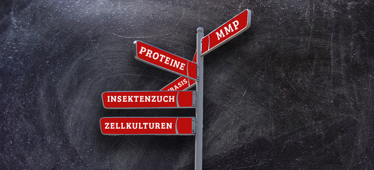 vorschriften fleischerbedarf