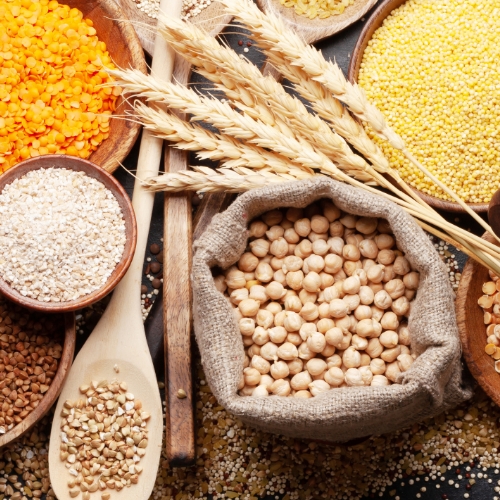 Ehlert Gmbh Brot Backwaren Kategoriehighlight Getreide Kerne Koerner