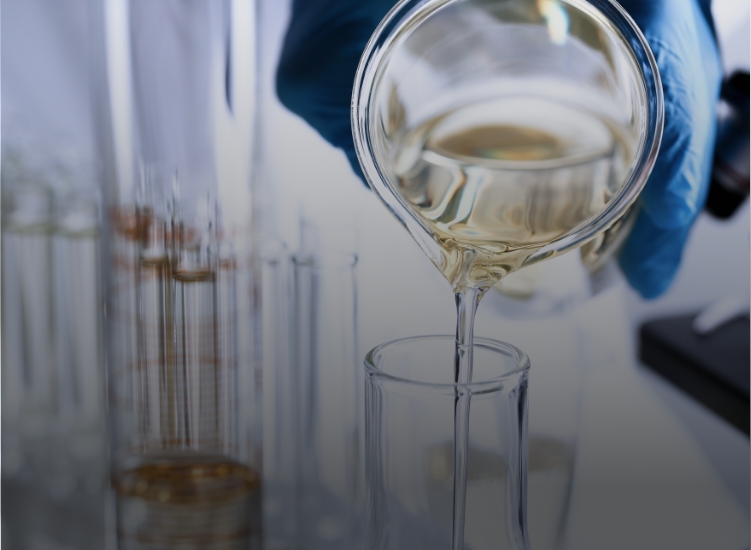 Ehlert Gmbh Convenience Kernsortiment Aromen Farbstoffe