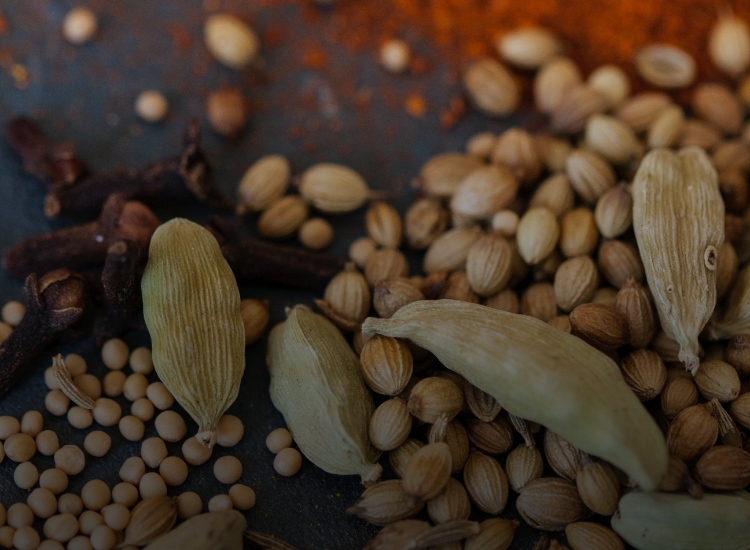 Ehlert Gmbh Feinkost Kernsortiment Bio Gewuerze