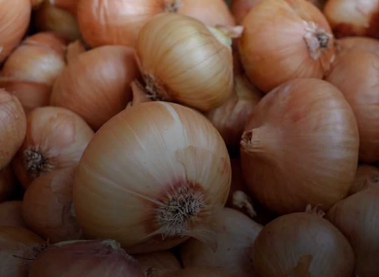Ehlert Gmbh Feinkost Kernsortiment Zwiebeln