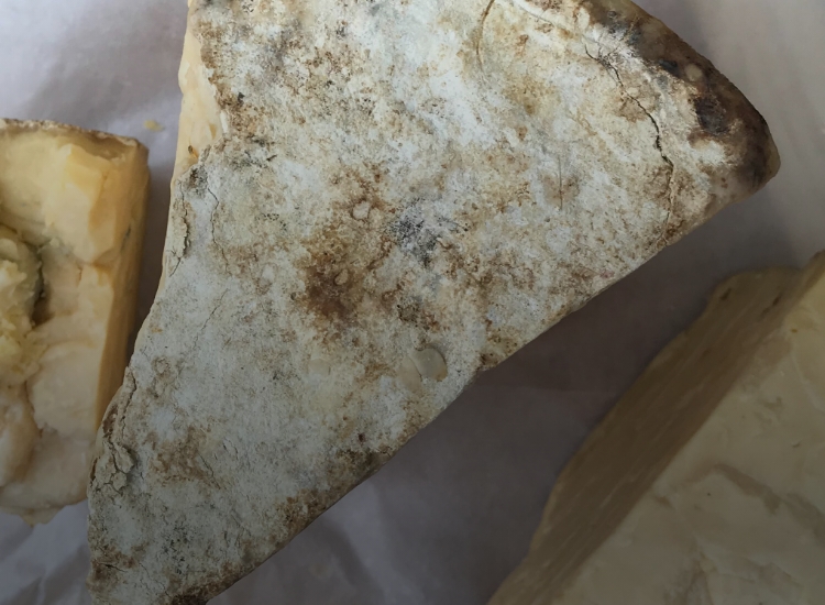 Ehlert Gmbh Fleisch Wurstwaren Kernsortiment Edelschimmelkulturen