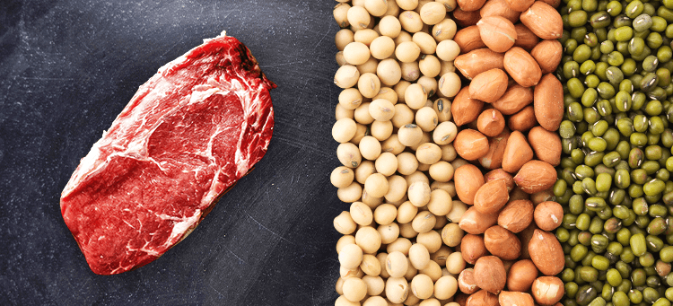 Proteinalternativen Übersicht
