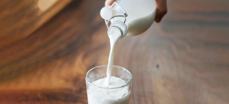 Ein großes Glas Milch wird zum Weltmilchtag befüllt.
